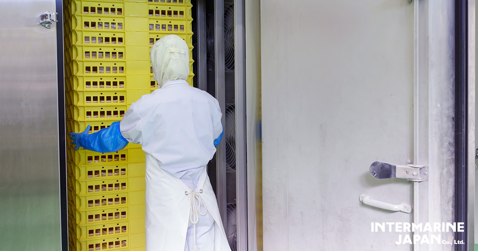 �C���^�[�}�����W���p���������